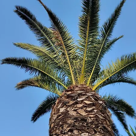 מלון Valle Di Mare Country