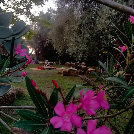Hotel Valle Di Mare Country Resort