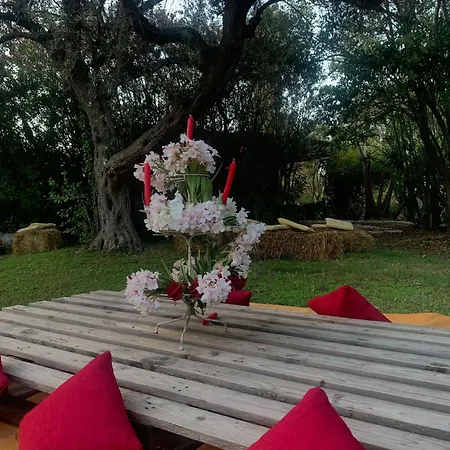 Valle Di Mare Country Resort 4* Fontane Bianche