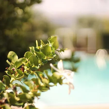 Valle Di Mare Country Hotel 4*