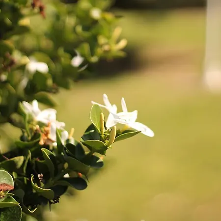 Hotel Valle Di Mare Country Resort Fontane Bianche