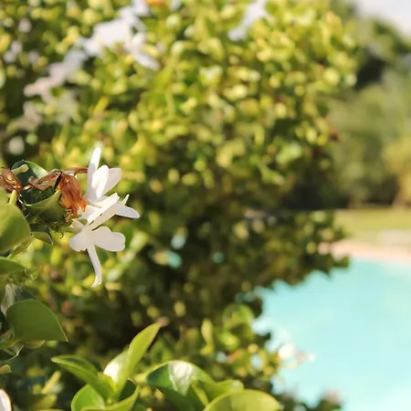 Valle Di Mare Country Resort 4* Fontane Bianche